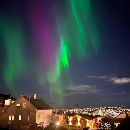 Cozy 1 Bedr Close To Everything!