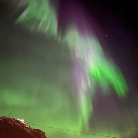 Appartamento Cozy 1 Bedr Close To Everything!