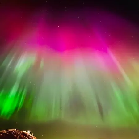 Cozy 1 Bedr Close To Everything!