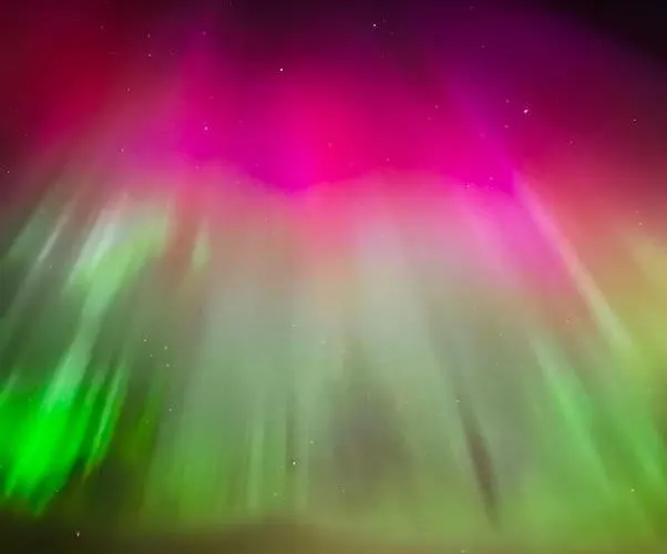 Cozy 1 Bedr Close To Everything!